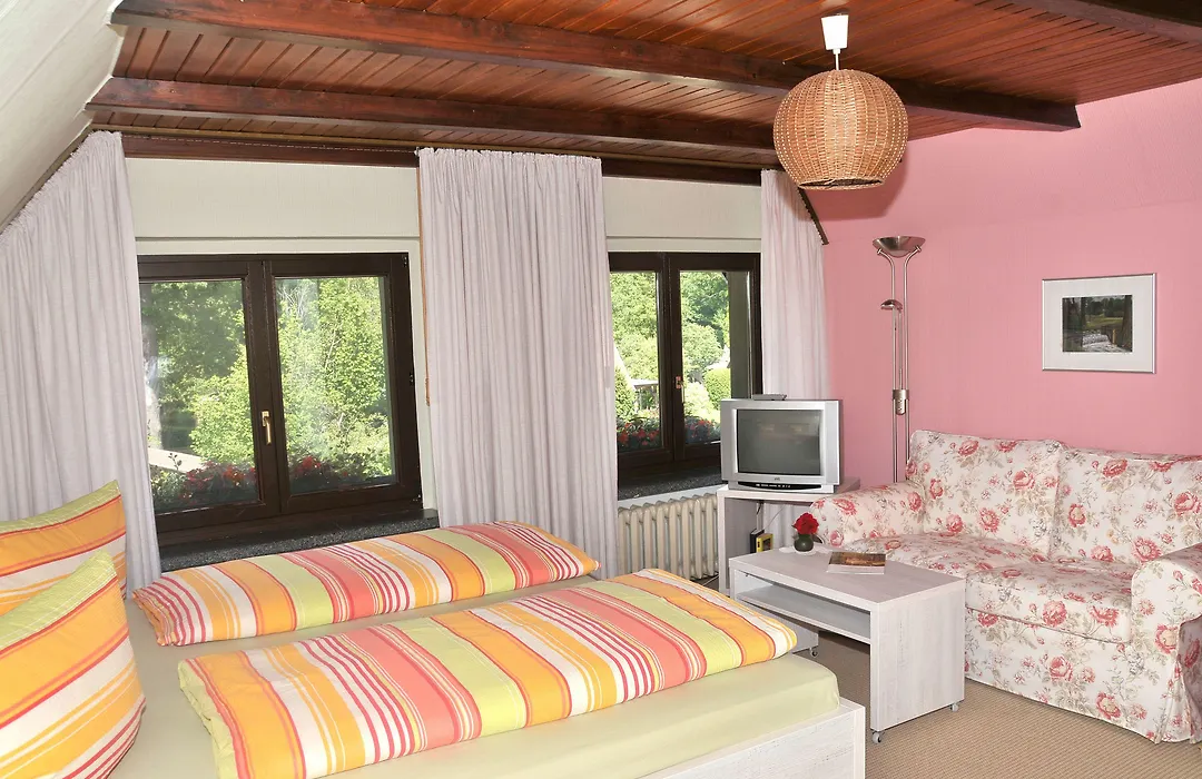 Pension Willischza-1